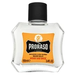 Proraso Wood And Spice Beard Balm vyživující balzám na vousy pro muže 100 ml