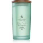 Chesapeake Bay Candle Mind & Body Balance & Harmony vonná sviečka 355 g