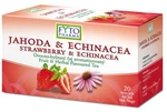 FYTO PHARMA Jahoda echinacea ovocno-bylinný čaj v nálevových vrecúškach 20 x 2 g