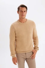 DEFACTO Men's Beige Standard Fit Regular Cut Crew Neck Textured Knitwear Sweater