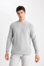 DEFACTO Standard Fit Crew Neck Sweater