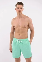 Volcano Man's Beach Shorts P-Darrel