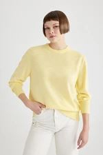 DEFACTO Regular Fit Crew Neck Basic Knitwear Sweater