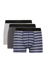 DEFACTO Regular Fit 3-pack Boxer