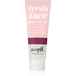 Barry M Fresh Face multifunkčné líčidlo na pery a tvár odtieň Blackberry 10 ml