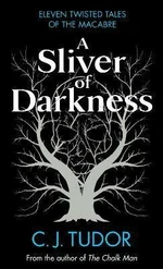 A Sliver of Darkness (Defekt) - C. J. Tudor