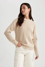 DEFACTO Regular Fit Crew Neck Knitwear Pullover