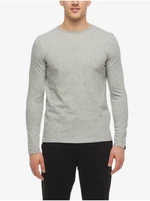 Light gray mens brindle T-Shirt Ragwear Galv - Men