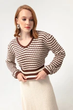 Lafaba Women's Brown V-Neck Exterior Pattern Knitwear Sweater