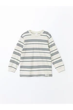 LC Waikiki LCW Crew Neck Long Sleeve Striped Baby Boy T-Shirt