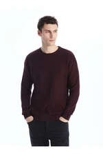 LC Waikiki Crew Neck Long Sleeve Men's Knitwear Sweater