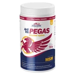 VITAR Veterinae ArtiVit Pegas MSM 720 g