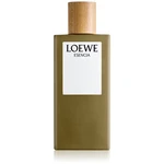 Loewe Esencia toaletná voda pre mužov 100 ml