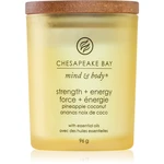 Chesapeake Bay Candle Mind & Body Strength & Energy vonná sviečka 96 g