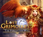 Lost Grimoires 3: The Forgotten Well PC Steam CD Key