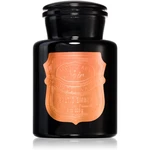 Paddywax Apothecary Noir Baltic Ember vonná sviečka 226 g