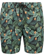 Pánské koupací kraťasy Trendyol Tropical Print