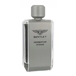 Bentley Momentum Intense 100 ml parfémovaná voda pro muže