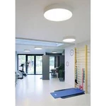 LED stropní svítidlo SLV 135124, 40 W, Vnější Ø 60 cm, N/A, stříbrnošedá