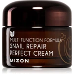 Mizon Multi Function Formula  Snail pleťový krém s filtrátem hlemýždího sekretu 60% 50 ml