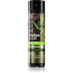 Dr. Santé Detox Hair intenzivně regenerační šampon 250 ml