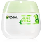 Garnier Botanical hydratační krém pro normální až smíšenou pleť 50 ml