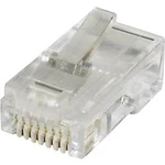 RJ45 konektor econ connect MPL88 - zástrčka, rovná RJ45 čirá, 1 ks