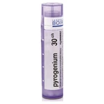 BOIRON Pyrogenium CH30 4g