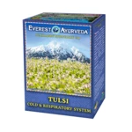 EVEREST AYURVEDA Tulsi krční oblast a průdušky sypaný čaj 100 g