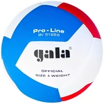Gala Pro Line 12 Fedett röplabda