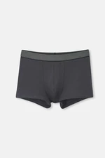 Dagi Anthracite Boxer