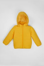 zepkids Boys' Yellow Color Fleece Hooded Coat.