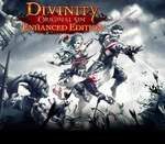 Divinity: Original Sin Enhanced Edition ASIA Steam Gift
