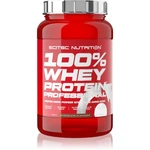 Scitec Nutrition 100% Whey Protein Professional syrovátkový protein s trávícími enzymy příchuť Chocolate 920 g