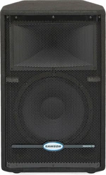 Samson RS12HD Enceinte passive