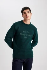 DEFACTO Relax Fit Crew Neck Printed Knitwear Sweater