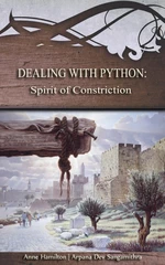 Dealing with Python