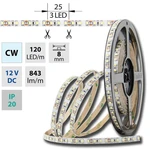 LED pásek McLED 12V studená bílá š=8mm IP20 9,6W/m 120LED/m SMD3528 ML-121.230.60.0