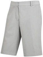 Nike Dri-Fit Hybrid Dust/Pure/Dust 34 Shorts