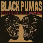 Black Pumas - Chronicles Of A Diamond (Clear Coloured) (LP)