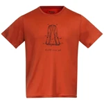 Men's T-shirt Bergans Graphic Wool Brick