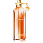 Montale Orange Aoud parfumovaná voda unisex 100 ml