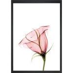 Plakat 24x29 cm Misty Bloom – Tablo Center