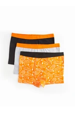 LC Waikiki Printed Cotton Boys' Boxer 3-Pack