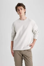 DEFACTO Regular Fit Long Sleeve Sweatshirt