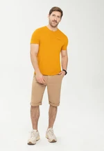 Volcano Man's Shorts P-Creg M23282-S23