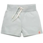 Pinokio Shorts Summer Garden