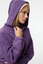 Trendyol Purple Hooded Regular/Normal Pattern Polar Fleece Zippered Collar Knitted Sweatshirt