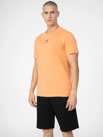 Men's cotton T-shirt 4F