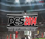 Pro Evolution Soccer 2014 + World Challenge DLC Bundle Steam Gift